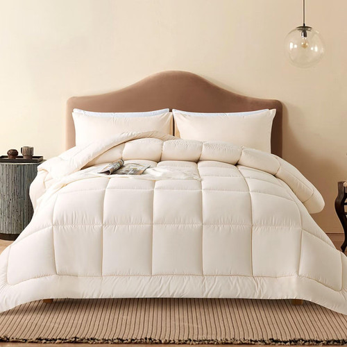 WhatsBedding Queen Comforter Set, Beige Lightweight 3 Pieces Bedding Set for All Season Soft Down Alternative Bed Set with 2 Pillowcases, Queen Size, 88"x90"