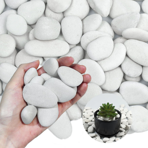 Lechloris 20Ib Pearl White River Rocks for Landscaping-Polished Pebbles for Plants-Garden Decorative Stones-1-1.5" Plant Rocks,Ideal for Aquarium, Home Decor,Terrarium Lechloris 20Ib Pearl White River Rocks for Landscaping-Polished Pebbles for Plants-Garden Decorative Stones-1-1.5" Plant Rocks,Ideal for Aquarium, Home Decor,Terrarium