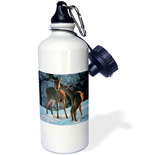 3dRose wb_11527_1 Stealing a Kiss, Deer Kissing - Sports Water Bottle, 21 oz, White