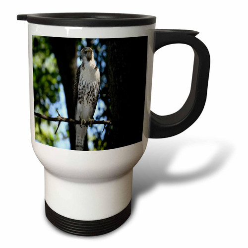 3dRose Dreamscapes by Leslie - Birds - Hawk looking for his next meal - Travel Mugs (tm-378049-1)