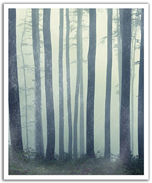JP London POS2482 U-Strip Peel and Stick Forest Rays Morning Light Tree Removable Wall Decal Sticker Mural,  19.75" by 24"