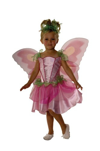 Rubie's Little Girls' Springtime Fairy Costume Toddler