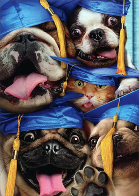 Avanti Press Dog and Cat Grads Squished Into Photo Booth Funny / Humorous Graduation Congratulations Card Avanti Press Dog and Cat Grads Squished Into Photo Booth Funny / Humorous Graduation Congratulations Card