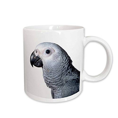 3dRose African Grey Parrot Mug, 15-Ounce 3dRose African Grey Parrot Mug, 15-Ounce