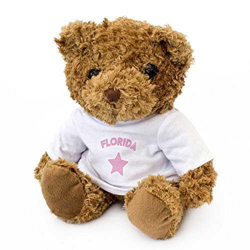 NEW - FLORIDA - Teddy Bear - Cute And Cuddly - Gift Present Birthday Xmas