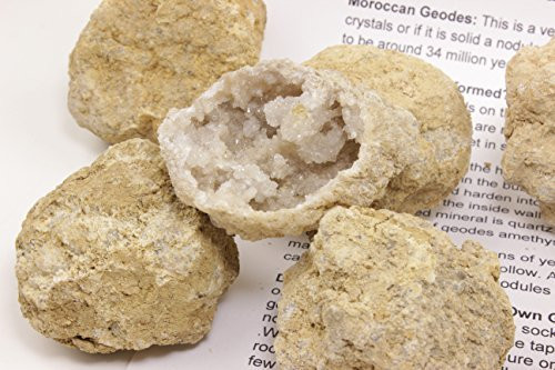 10 Break Your Own Geodes, Extra Large ( 2.5-3 inches) Easy Crack Open & Discover Surprise Crystals Inside, Includes Educational Info & Magnifying Glass, Fun Party Favors and Prizes