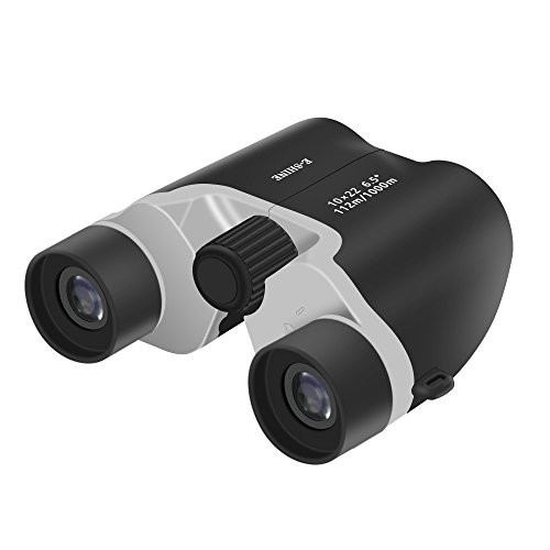E-SHINE Binoculars 10x22, Lightweight Binoculars Compact for Adults and Kids Folding Mini Binoculars for Bird Watching, Traveling,Concerts, Stargazing