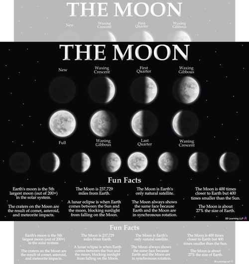 Moon Phases Poster with Fun Facts- Laminated 14x19.5 - Educational Charts, Classroom Poster and Decoration, Back to School Supplies, Learning Poster for Preschool, Kindergarten, Elementary, and Virtual Learning, Space Decor for Bedroom Moon Phases Poster with Fun Facts- Laminated 14x19.5 - Educational Charts, Classroom Poster and Decoration, Back to School Supplies, Learning Poster for Preschool, Kindergarten, Elementary, and Virtual Learning, Space Decor for Bedroom