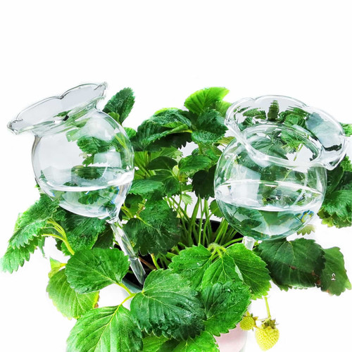 Aebor Plant Waterer Self Watering Globes, Plant Watering Globes Automatic Plant Waterer, Hand Blown Clear Glass Plant Water Bulbs Devices for Indoor & Outdoor, 2 Flower Shape