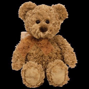 TY Classic Plush - MASON the Bear
