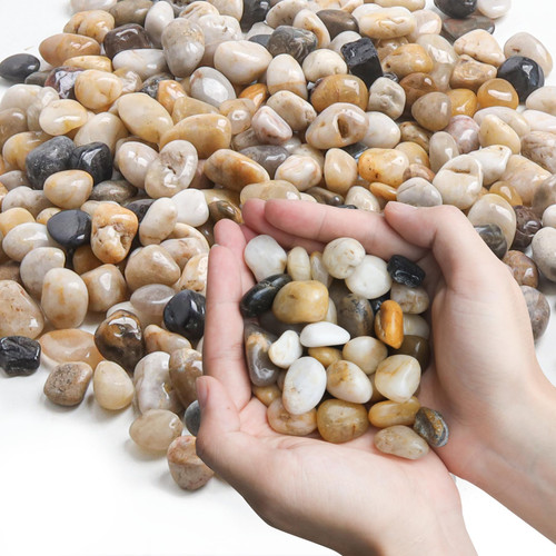 T4U Natural River Rocks 3 Lbs, Pea Gravel for Landscaping, Mixed Color Outdoor Garden Decorative Stones, Polished Gravel for Aquarium Fish Tank, Pebbles for Plants Succulent, Vase Filler Stones T4U Natural River Rocks 3 Lbs, Pea Gravel for Landscaping, Mixed Color Outdoor Garden Decorative Stones, Polished Gravel for Aquarium Fish Tank, Pebbles for Plants Succulent, Vase Filler Stones
