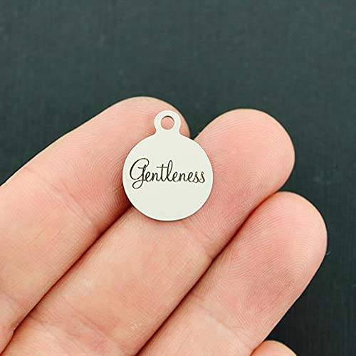 4 Charms Gentleness Stainless Steel Charms - Smaller Size