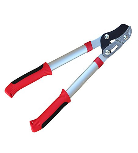 TABOR TOOLS GB19 Compound Action Anvil Mini Lopper, Chops Thick Branches with Ease, 1 1/2-Inch Cutting Capacity, 19-Inch Tree Trimmer with Sturdy Medium-Sized Aluminum Handles