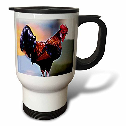 3dRose Apache Helicopter Travel Mug, 14-Ounce
