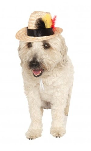 Rubies Costume Company Fedora with Feather Pet Costume Accessory