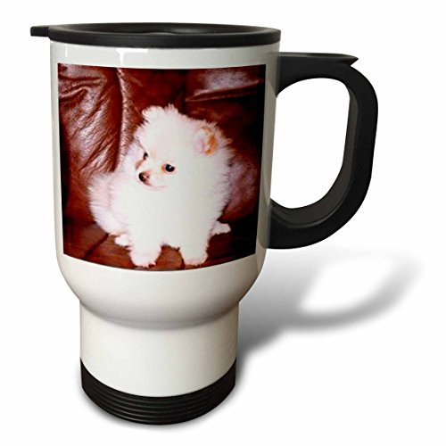 3dRose White Pomeranian Travel Mug, 14-Ounce, Stainless Steel
