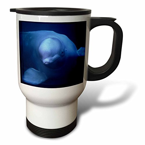 3dRose tm_37652_1" Beluga or White Whale, Delphinapterus Leucas, Arctic" Travel Mug, 14 oz, Multicolor