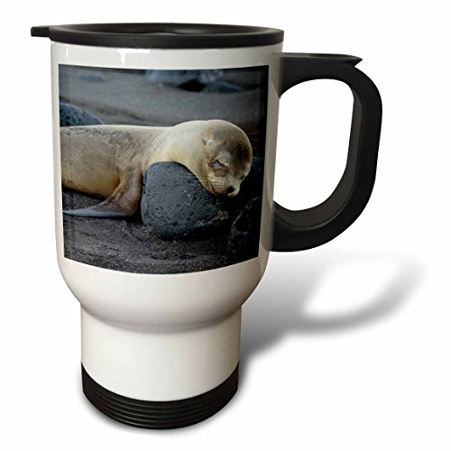3dRose tm_209503_1 Ecuador, Galapagos, Santiago Island Galapagos Sea Lion Sleeping Stainless Steel Travel Mug, 14 oz, White