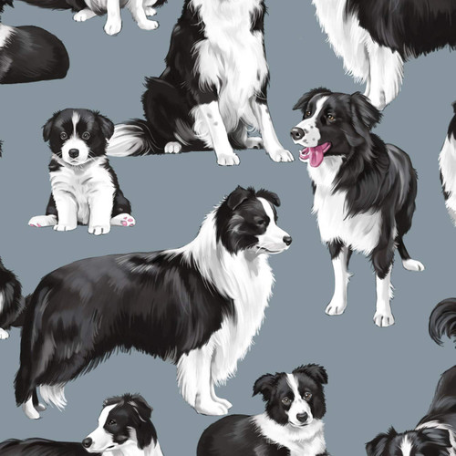 Timeless Treasures Dog Show Border Collies Premium Quality 100% Cotton Fabric by The Yard.