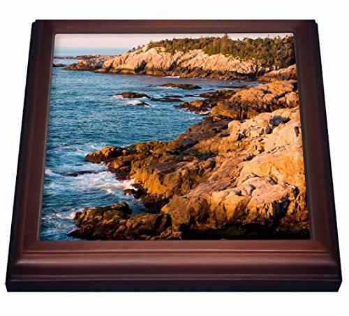 3dRose trv_90683_1 Isle Au Haut Acadia National Park, Maine US20 JMO0814 Jerry and Marcy Monkman Trivet with Ceramic Tile, 8 by 8", Brown 3dRose trv_90683_1 Isle Au Haut Acadia National Park, Maine US20 JMO0814 Jerry and Marcy Monkman Trivet with Ceramic Tile, 8 by 8", Brown