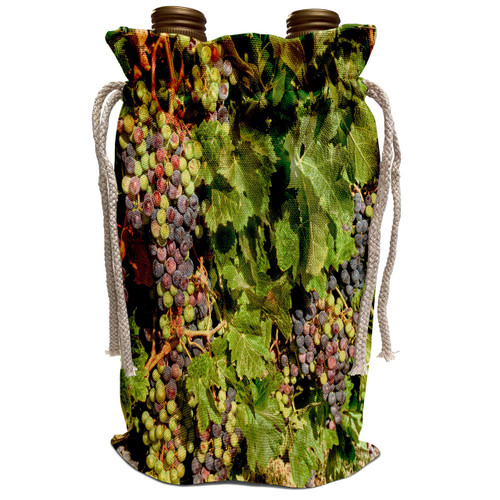 3dRose Danita Delimont - Vineyards - USA, Washington, Richland. Goose Ridge Vineyards - US48 RDU0577 - Richard Duval - Wine Bag (wbg_148538_1)