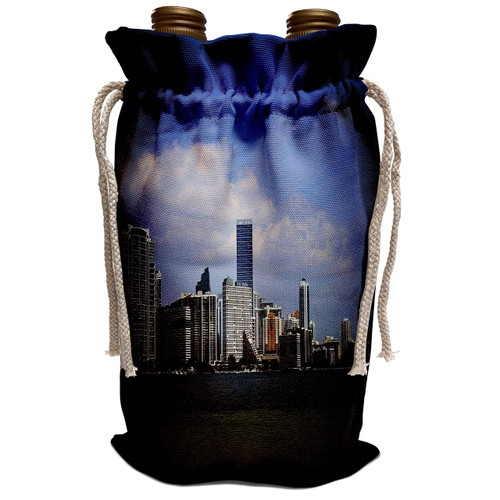 3dRose Sandy Mertens Florida - Miami Skyline Spotlight - Wine Bag (wbg_21718_1)