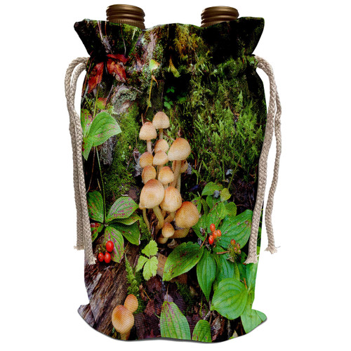 3dRose Danita Delimont - Forests - British Columbia, Bowron Lakes Park. Bunchberry, Forest-CN02 GLU0073 - Gary Luhm - Wine Bag (wbg_72225_1)