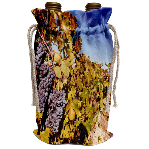3dRose Danita Delimont - Vineyards - WA, Yakima Valley. Grapes at Teft Cellars vineyard - US48 RDU0425 - Richard Duval - Wine Bag (wbg_96672_1)