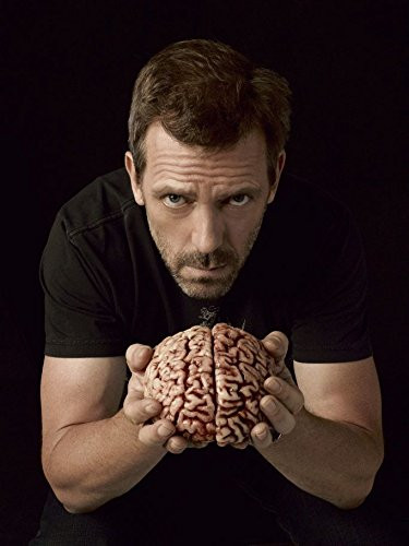 FranksMod 24x32 inch House MD Silk Poster 2GS7-060
