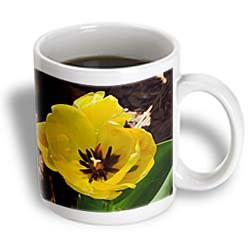 3dRose Tulip Yellow Ceramic Mug, 11-Ounce