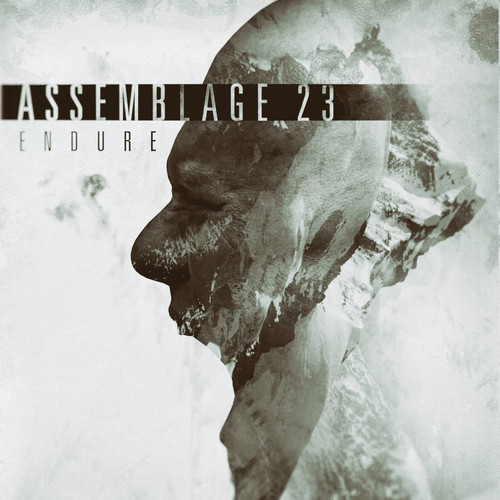 Endure Limited Edition LP