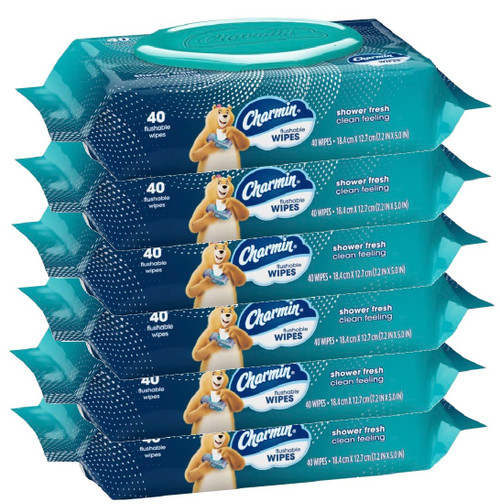 Charmin Freshmates Flushable Wipes with Refillable Tub (Pack of 6) Charmin Freshmates Flushable Wipes with Refillable Tub (Pack of 6)