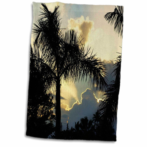 3dRose Florene Tropical Sunset - Palm Silhouette - Towels (twl-37304-1)