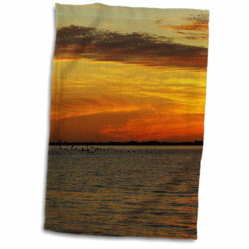 3dRose Florene Sunset - Brown n Orange Sunset with Pelicans Flying - Towels (twl-40825-1) 3dRose Florene Sunset - Brown n Orange Sunset with Pelicans Flying - Towels (twl-40825-1)