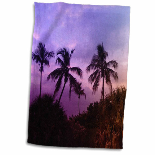 3dRose Florene Tropical Sunset - Rainbow Palms - Towels (twl-8652-1)