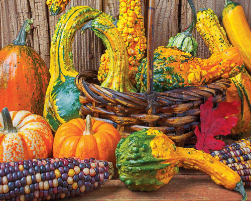 Springbok 1500 Piece Jigsaw Puzzle Harvest Colors