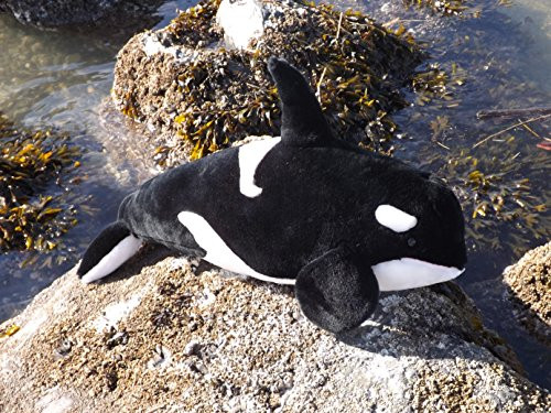 24" Killer Whale Stuffed Toy Animal - Big Plush Orca from This Place is a Zoo 24" Killer Whale Stuffed Toy Animal - Big Plush Orca from This Place is a Zoo