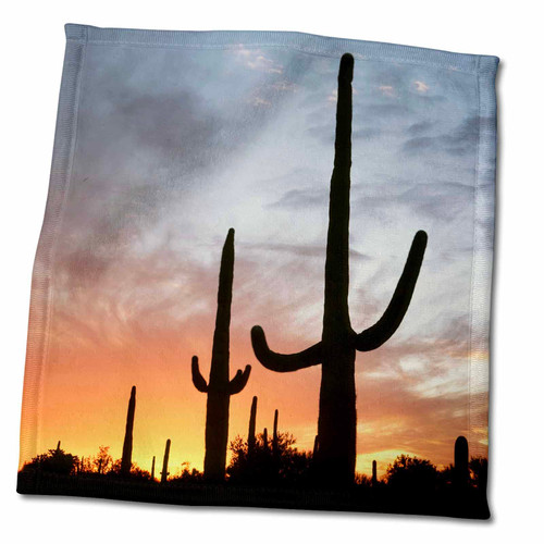 3dRose Arizona, Organ Pipe Cactus, Saguaro Cacti, Sunset. - Towels (twl-229582-3)