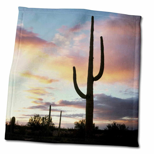 3dRose Organ Pipe Cactus, Saguaro Cacti, Sunset. Arizona - Towels (twl-229583-3)