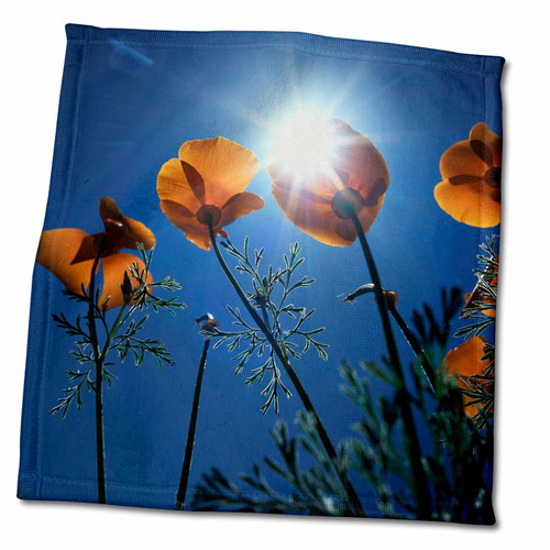 3dRose USA, California, The Sunset Behind an California Poppy Wildflowers - Towels (twl-230052-3)