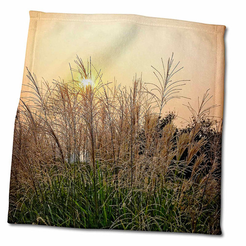 3dRose Reed Near The Beijing Olympic Center at Sunset. - Towels (twl-240385-3)