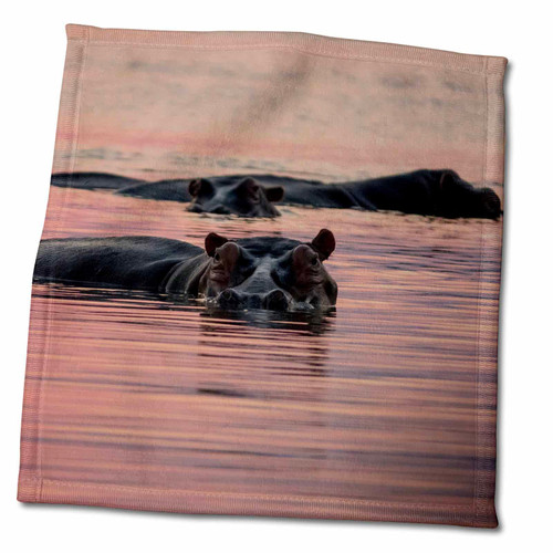 3dRose Danita Delimont - Hippos - Africa, Zambia. Hippos in River at Sunset. - Towels (twl-256988-3)