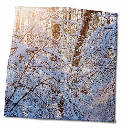3dRose Sunlight of a Winter Sunset Spreads Between The Snow Covered Trees - Towels (twl-280990-3)
