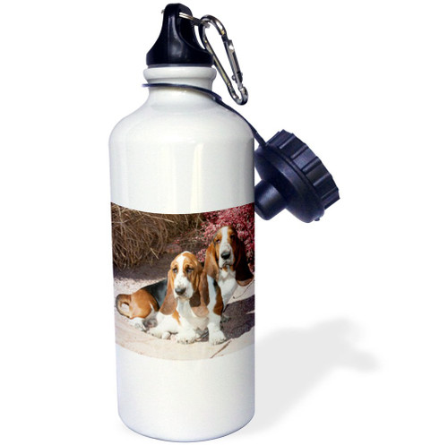 3dRose "Two purebred Bassett Hound dogs near red bush NA02 PWO0061 PiperAnne Worcester" Sports Water Bottle, 21 oz, White 3dRose "Two purebred Bassett Hound dogs near red bush NA02 PWO0061 PiperAnne Worcester" Sports Water Bottle, 21 oz, White
