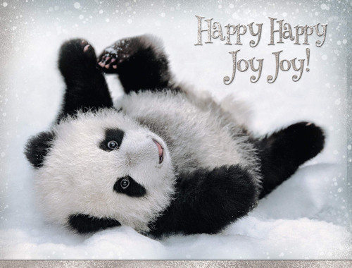 "Posing Panda" Panda Bear - Boxed Wildlife Christmas Cards - 5 5/8 x 7 3/8 Inches - 15 Heavyweight Cards and 16 Envelopes