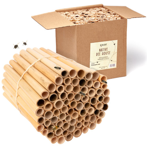Rivajam 125 Phragmite Reed Mason Bee Tubes | Refill Your Mason Bee House, Bee Hotel Nest Box, Solitary Bee Hive & Pollinator Bee Box | Mason Bee Houses for the Garden Starter Kit & Mason Bees Supplies