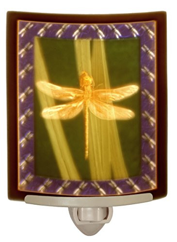 Dragonfly - Colored Curved Porcelain Lithophane Night Light