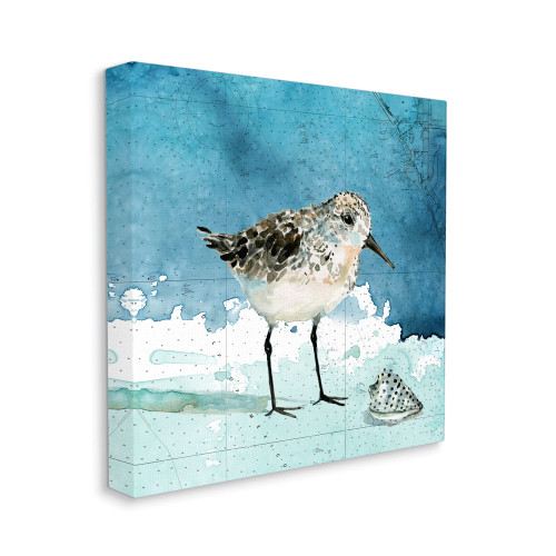 Stupell Industries Sandpiper Bird and Shell Nautical Ocean Map, Designed by Carol Robinson Canvas Wall Art, 17 x 17, Blue