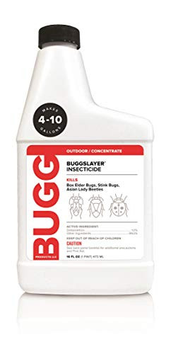 BUGGSLAYER Multipurpose Insect Killer - Kills Box Elder Bugs, Stink Bugs, Asian Lady Beetles, Ants, Spiders and Over 50 Other Insect Pests | Concentrate, Insecticide 16-oz (1)