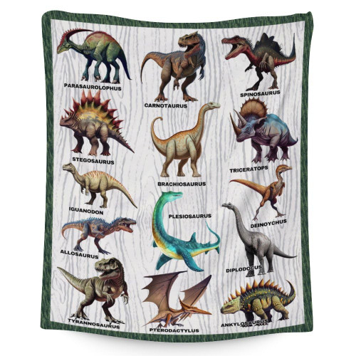 Dinosaur Throw Blanket - 50x40 Inches Small Blanket for Kids, Boys - Soft Plush Blankets for Bed, Couch, Sofa - White Cute Fuzzy Throws Gifts for Dinosaur Lovers